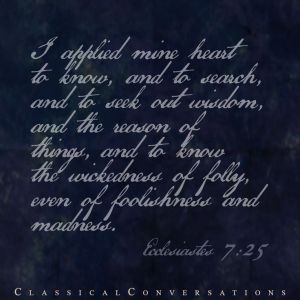 Ecclesiastes 7_25